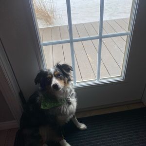 Meet your Posher, Julia